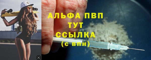 ECSTASY Тында