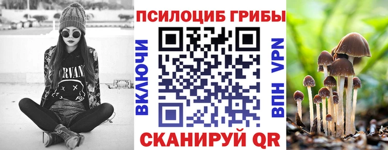 Галлюциногенные грибы Psilocybine cubensis  Николаевск 